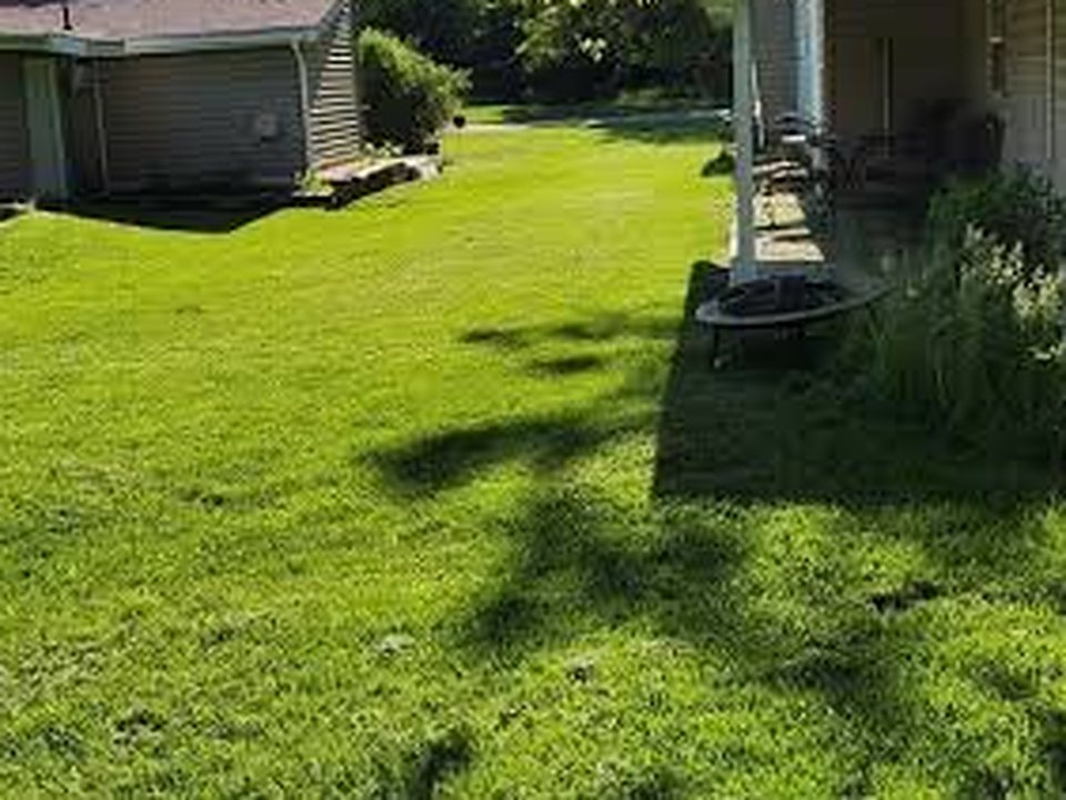 After: backyard lawn