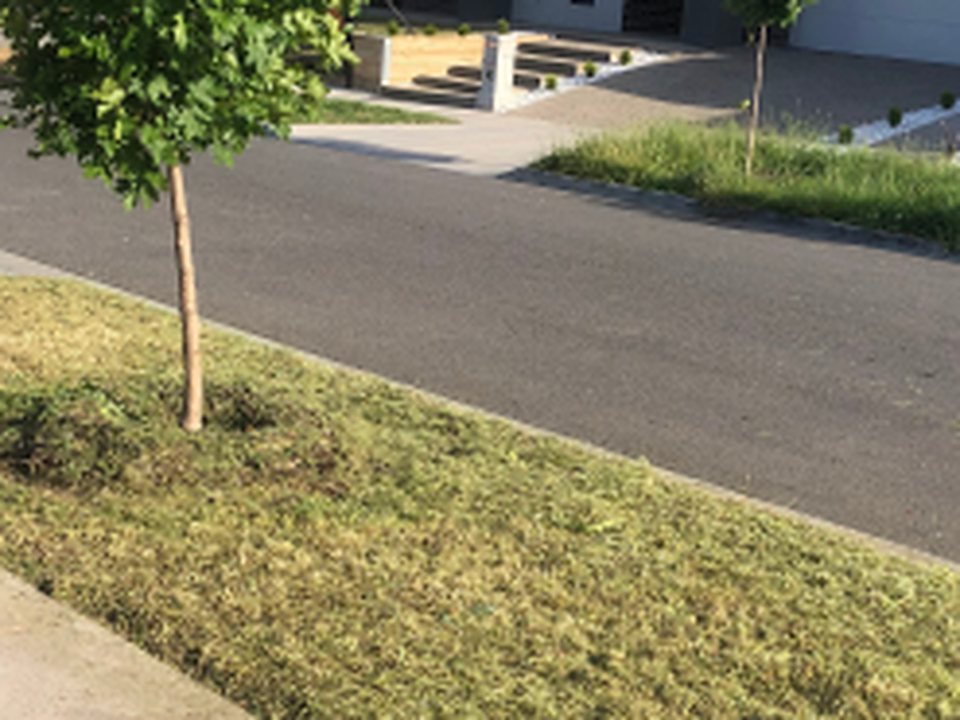 After: front verge